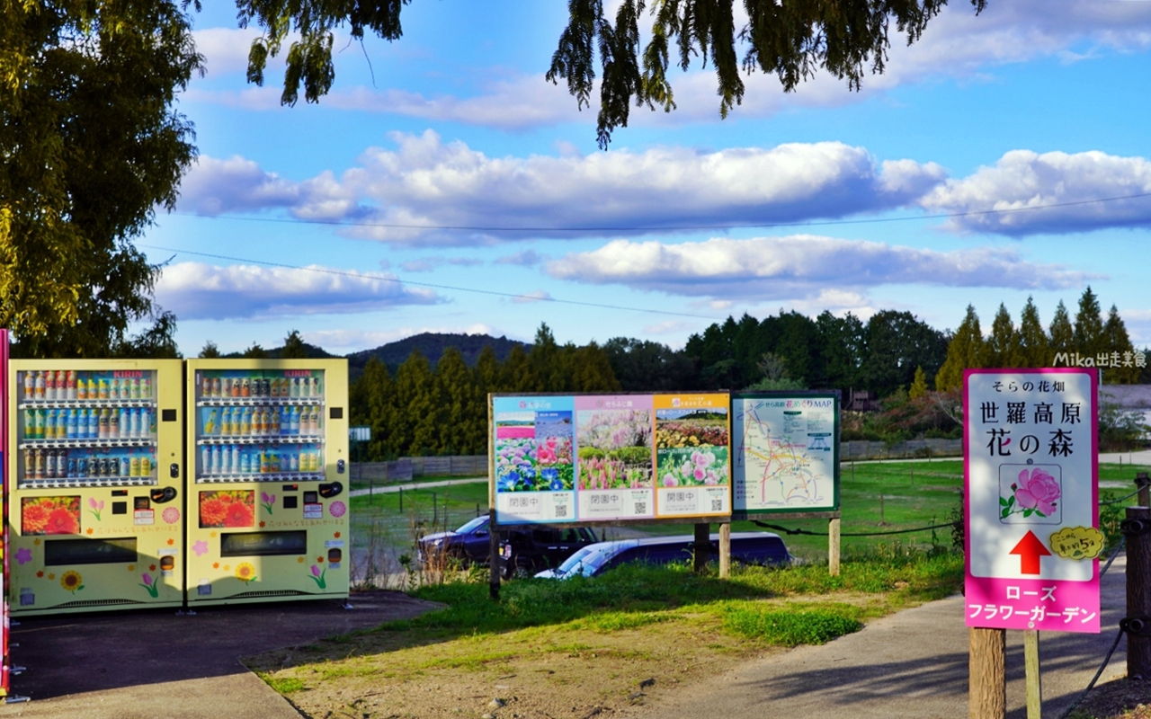 【日本】山陽 廣島 世羅高原農場｜日本最大規模花田竟然在廣島！？每季都有不同的花海絕景，秋菊美到根本置身童話世界。