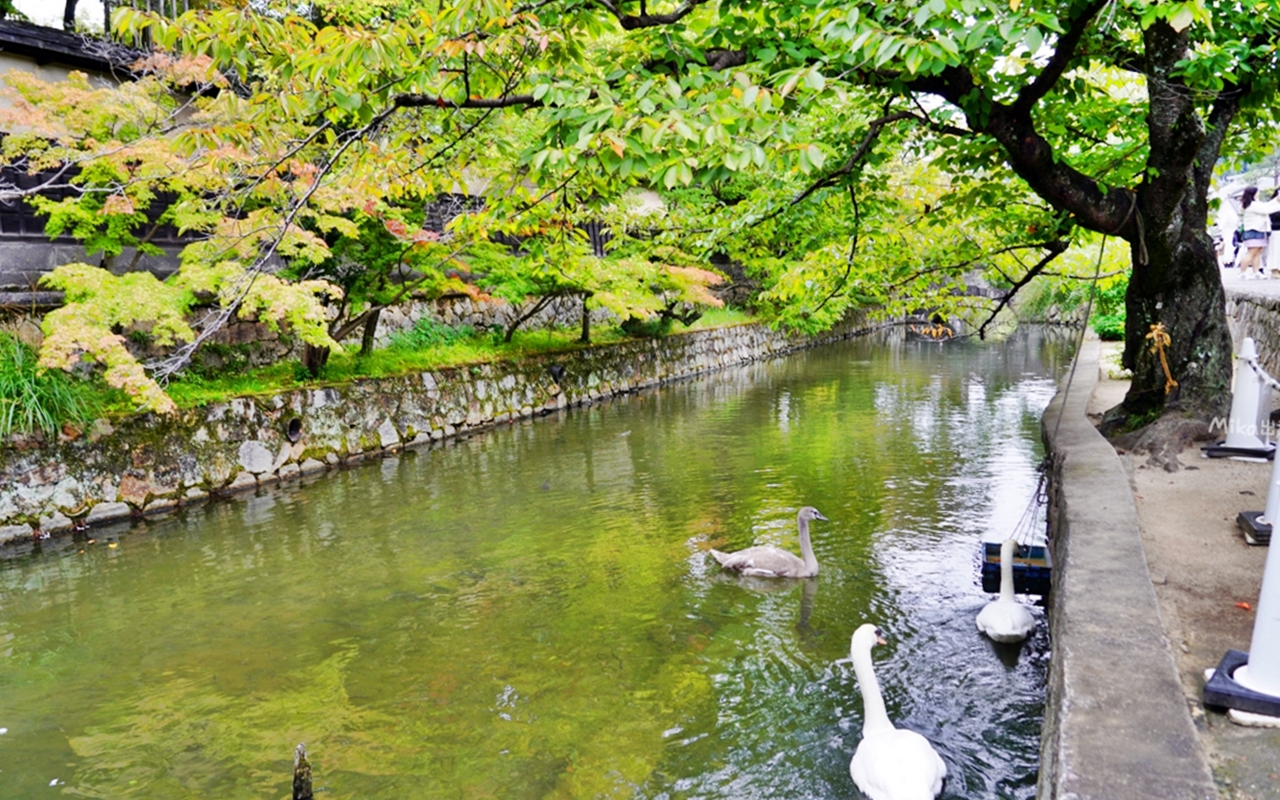 【日本】 山陽岡山 倉敷美觀地區｜岡山必訪：倉敷美觀老街 × 川船遊，穿越400年前的江戶時代，好吃好買好玩看這裡。