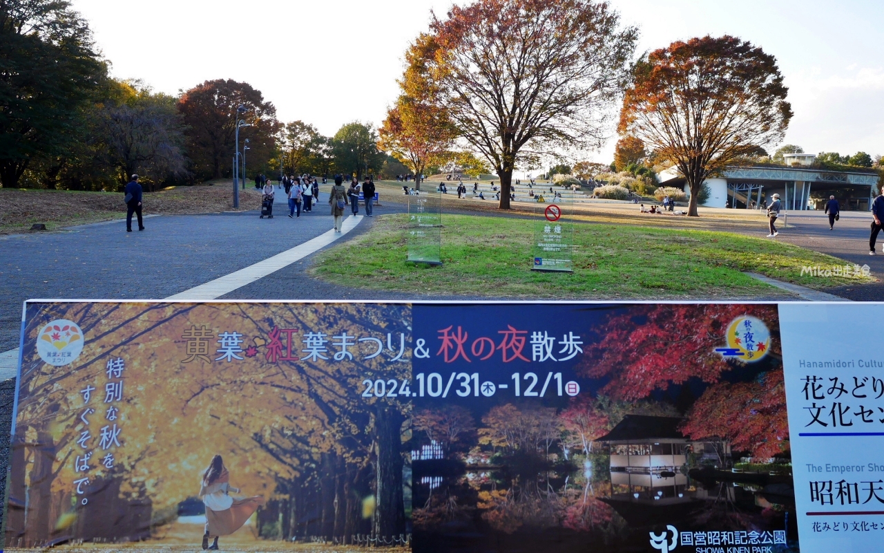 【東京】 國營昭和紀念公園｜東京賞楓景點推薦必去，期間限定 黃葉・紅葉祭＆秋夜散步，楓葉 銀杏 精彩燈光秀。