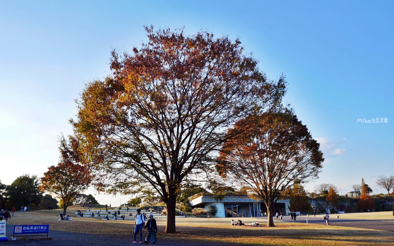 【東京】 國營昭和紀念公園｜東京賞楓景點推薦必去，期間限定 黃葉・紅葉祭＆秋夜散步，楓葉 銀杏 精彩燈光秀。