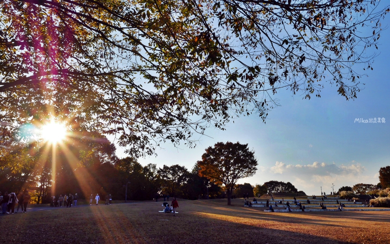【東京】 國營昭和紀念公園｜東京賞楓景點推薦必去，期間限定 黃葉・紅葉祭＆秋夜散步，楓葉 銀杏 精彩燈光秀。