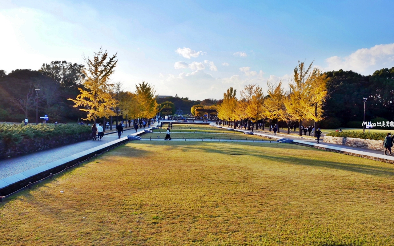 【東京】 國營昭和紀念公園｜東京賞楓景點推薦必去，期間限定 黃葉・紅葉祭＆秋夜散步，楓葉 銀杏 精彩燈光秀。