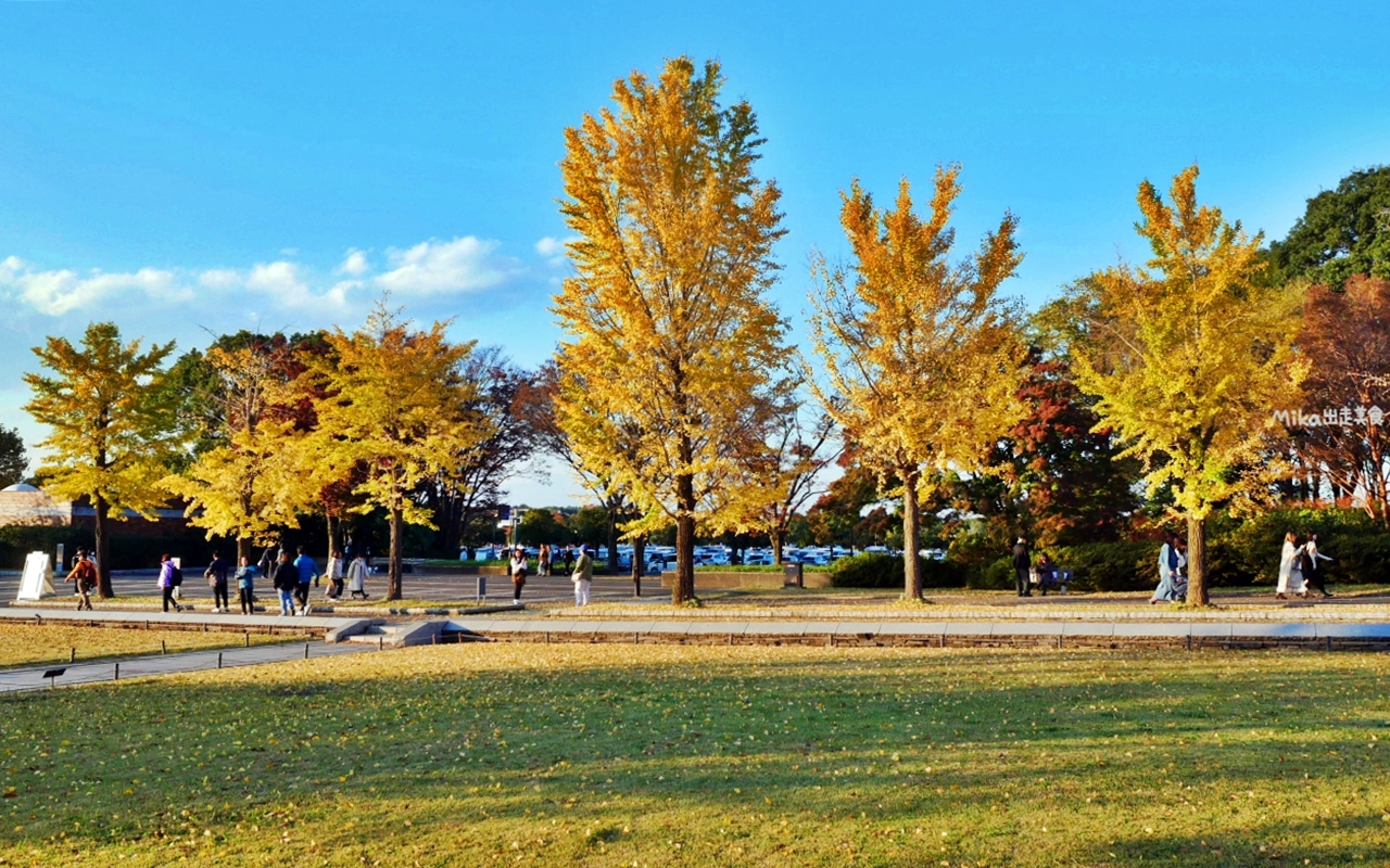【東京】 國營昭和紀念公園｜東京賞楓景點推薦必去，期間限定 黃葉・紅葉祭＆秋夜散步，楓葉 銀杏 精彩燈光秀。