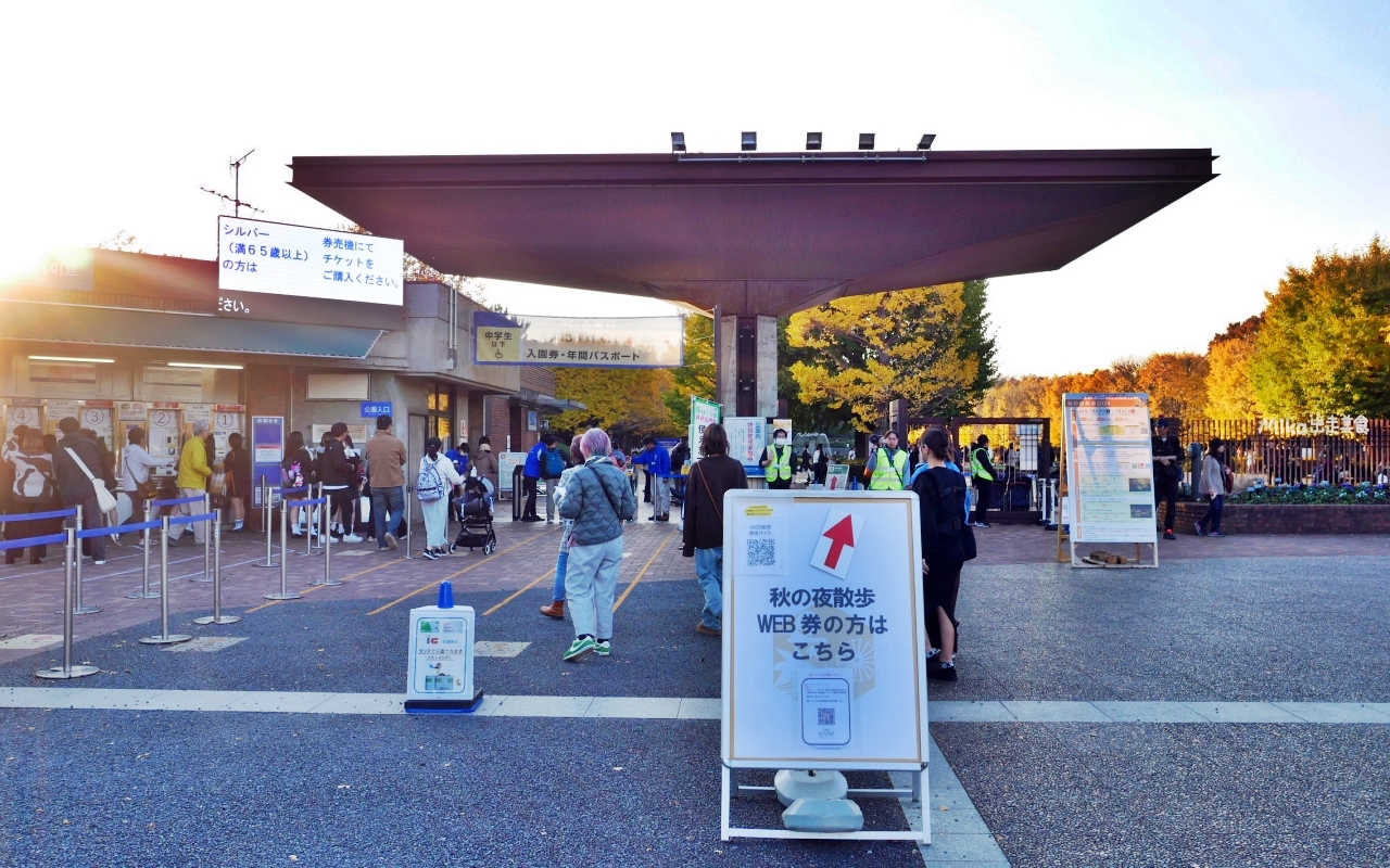 【東京】 國營昭和紀念公園｜東京賞楓景點推薦必去，期間限定 黃葉・紅葉祭＆秋夜散步，楓葉 銀杏 精彩燈光秀。