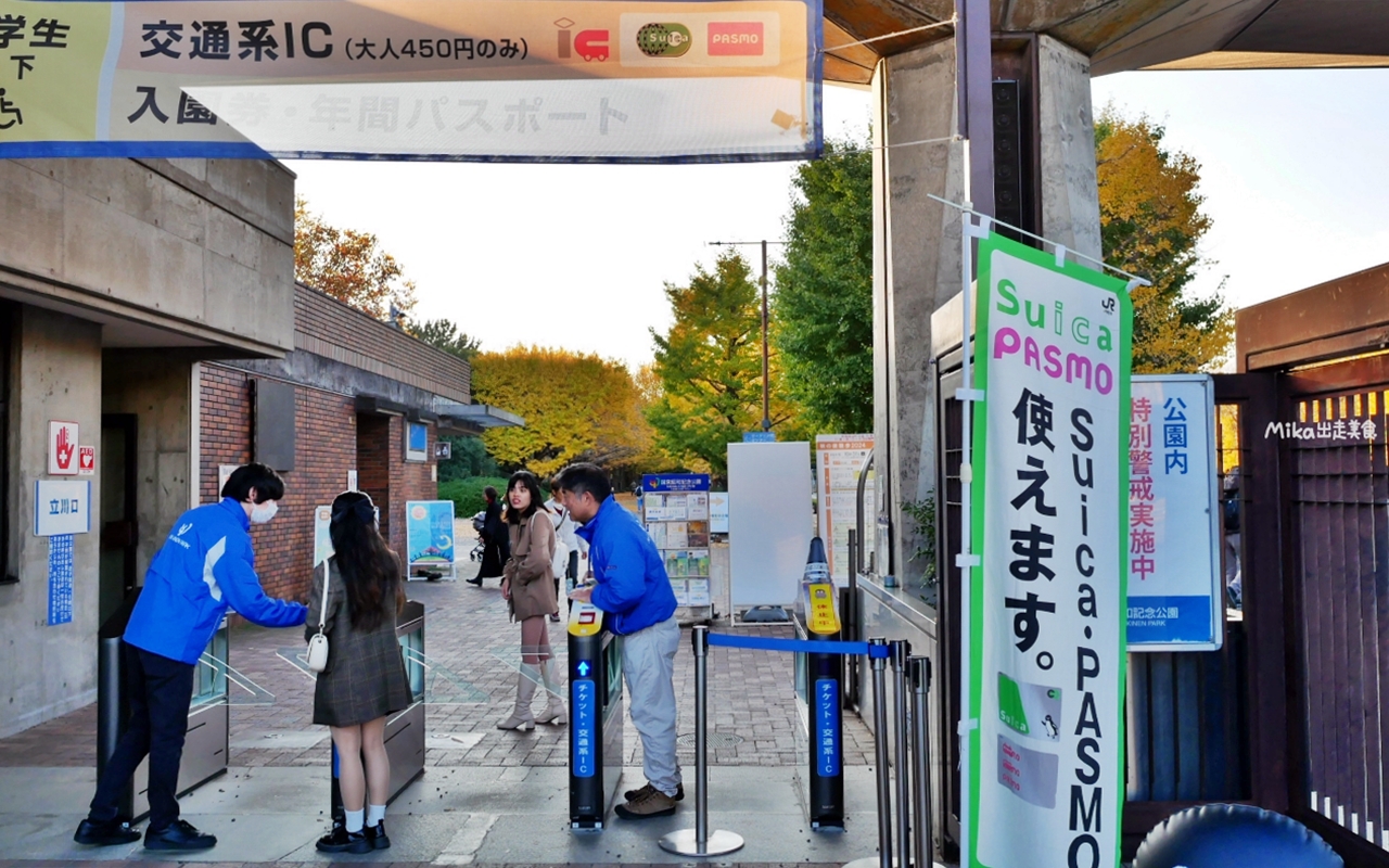 【東京】 國營昭和紀念公園｜東京賞楓景點推薦必去，期間限定 黃葉・紅葉祭＆秋夜散步，楓葉 銀杏 精彩燈光秀。