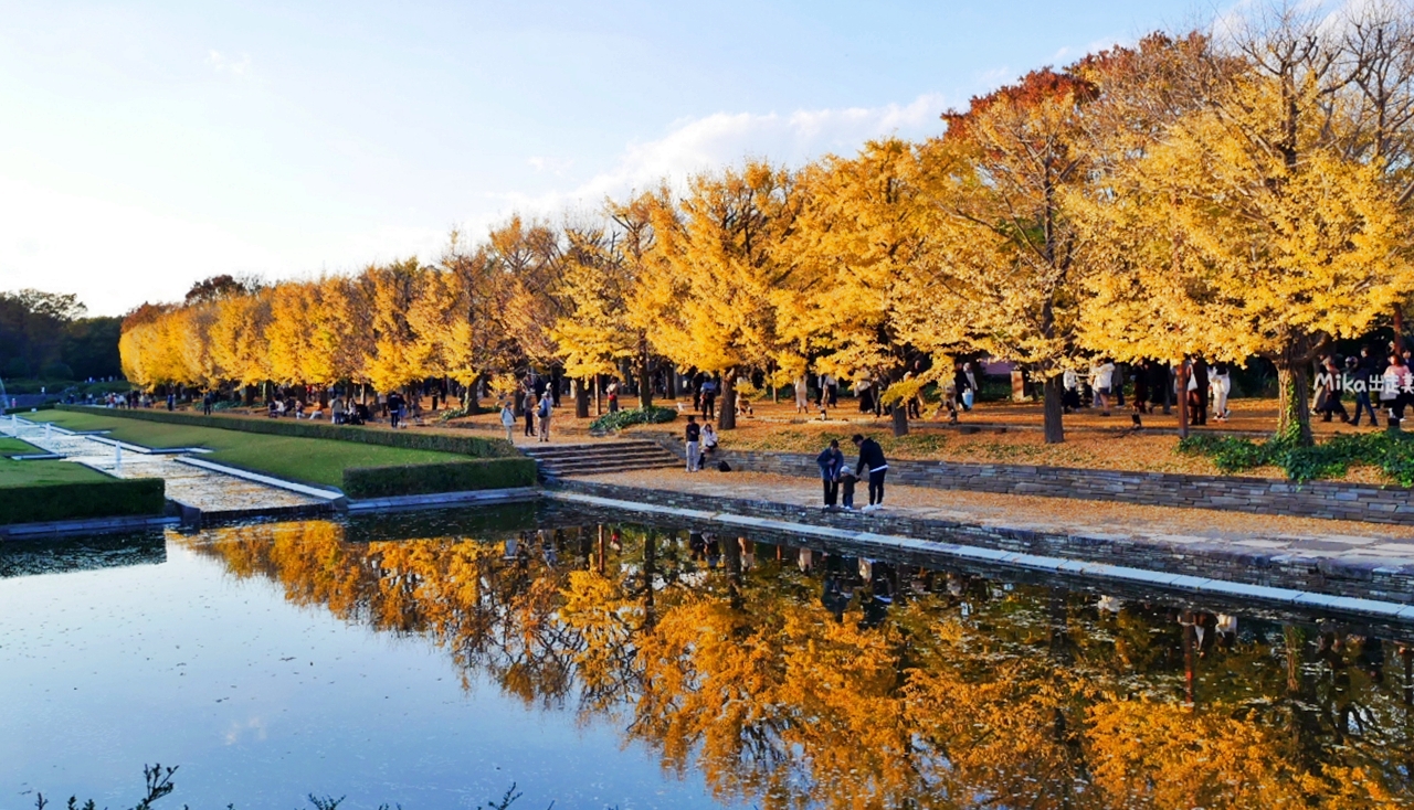 【東京】 國營昭和紀念公園｜東京賞楓景點推薦必去，期間限定 黃葉・紅葉祭＆秋夜散步，楓葉 銀杏 精彩燈光秀。