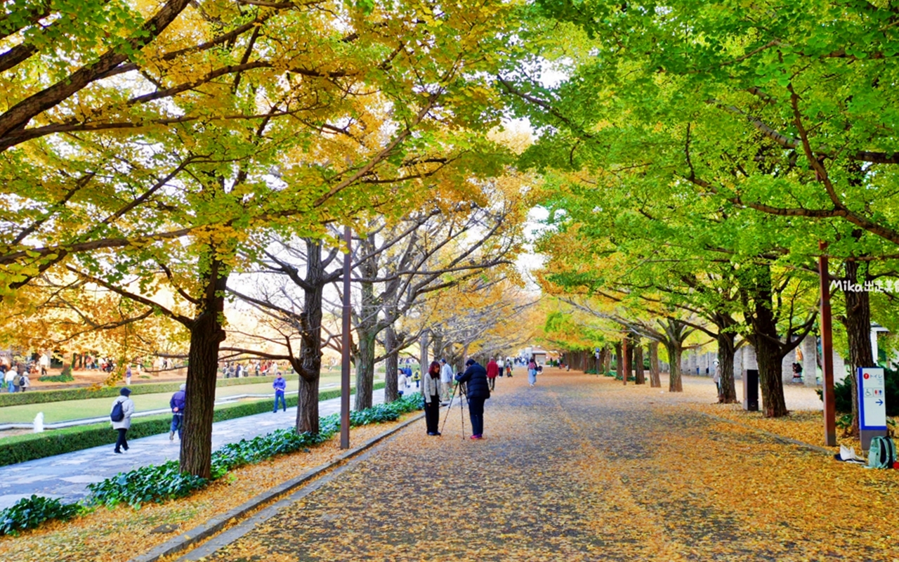 【東京】 國營昭和紀念公園｜東京賞楓景點推薦必去，期間限定 黃葉・紅葉祭＆秋夜散步，楓葉 銀杏 精彩燈光秀。