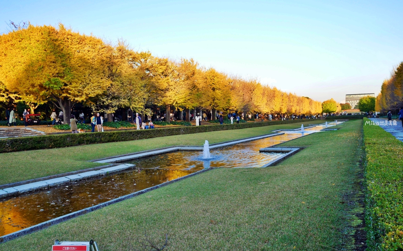 【東京】 國營昭和紀念公園｜東京賞楓景點推薦必去，期間限定 黃葉・紅葉祭＆秋夜散步，楓葉 銀杏 精彩燈光秀。