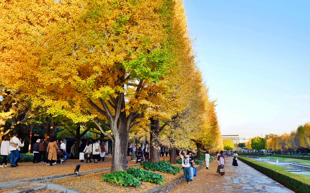【東京】 國營昭和紀念公園｜東京賞楓景點推薦必去，期間限定 黃葉・紅葉祭＆秋夜散步，楓葉 銀杏 精彩燈光秀。