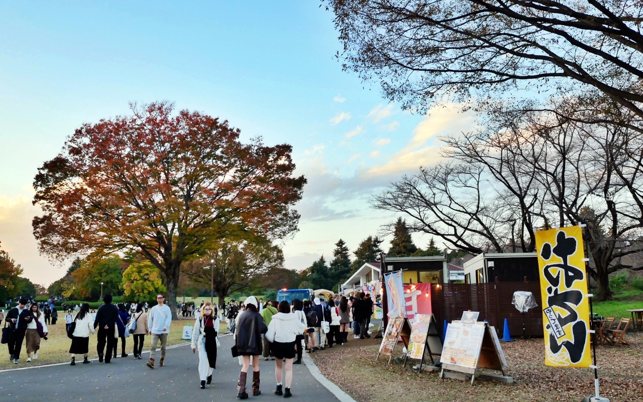 【東京】 國營昭和紀念公園｜東京賞楓景點推薦必去，期間限定 黃葉・紅葉祭＆秋夜散步，楓葉 銀杏 精彩燈光秀。