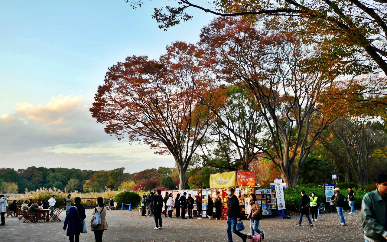 【東京】 國營昭和紀念公園｜東京賞楓景點推薦必去，期間限定 黃葉・紅葉祭＆秋夜散步，楓葉 銀杏 精彩燈光秀。