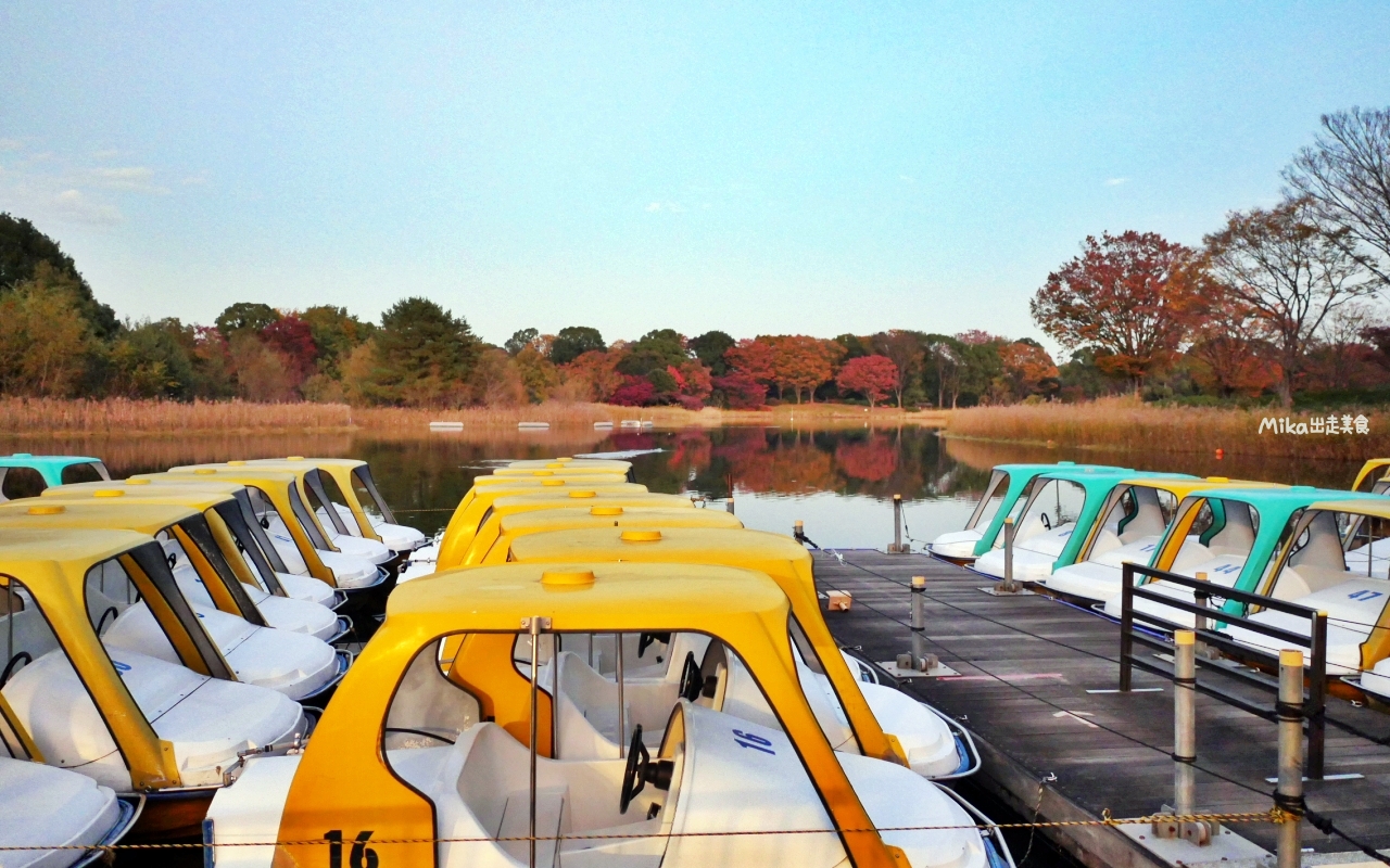 【東京】 國營昭和紀念公園｜東京賞楓景點推薦必去，期間限定 黃葉・紅葉祭＆秋夜散步，楓葉 銀杏 精彩燈光秀。