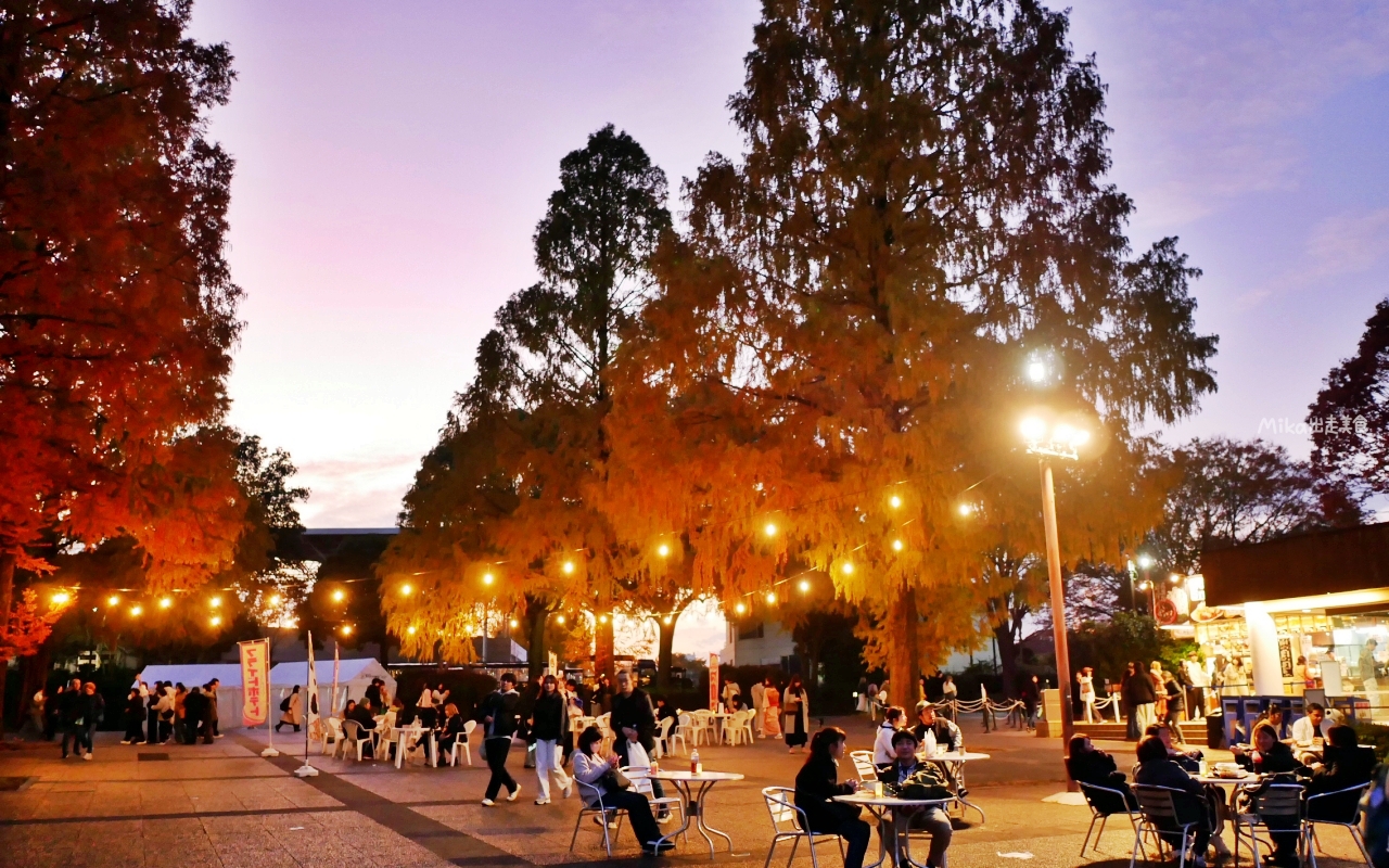 【東京】 國營昭和紀念公園｜東京賞楓景點推薦必去，期間限定 黃葉・紅葉祭＆秋夜散步，楓葉 銀杏 精彩燈光秀。