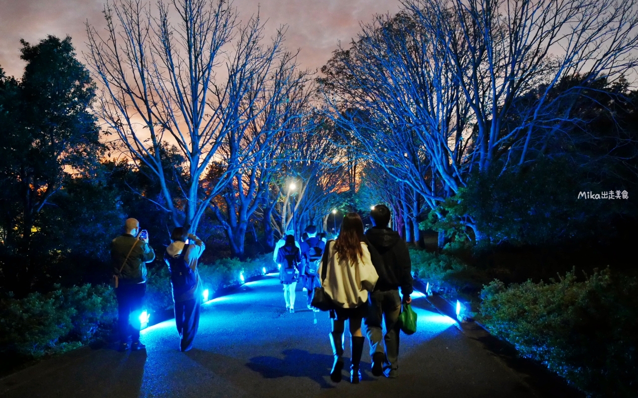 【東京】 國營昭和紀念公園｜東京賞楓景點推薦必去，期間限定 黃葉・紅葉祭＆秋夜散步，楓葉 銀杏 精彩燈光秀。