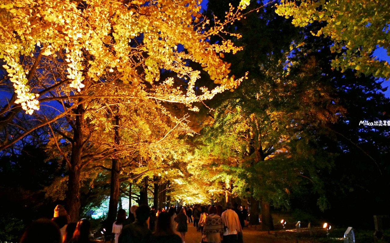 【東京】 國營昭和紀念公園｜東京賞楓景點推薦必去，期間限定 黃葉・紅葉祭＆秋夜散步，楓葉 銀杏 精彩燈光秀。
