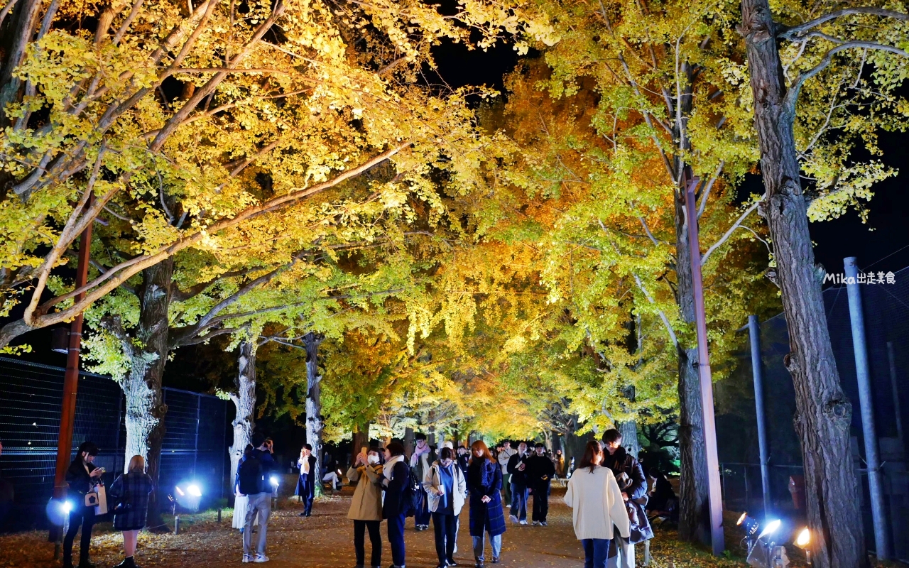 【東京】 國營昭和紀念公園｜東京賞楓景點推薦必去，期間限定 黃葉・紅葉祭＆秋夜散步，楓葉 銀杏 精彩燈光秀。