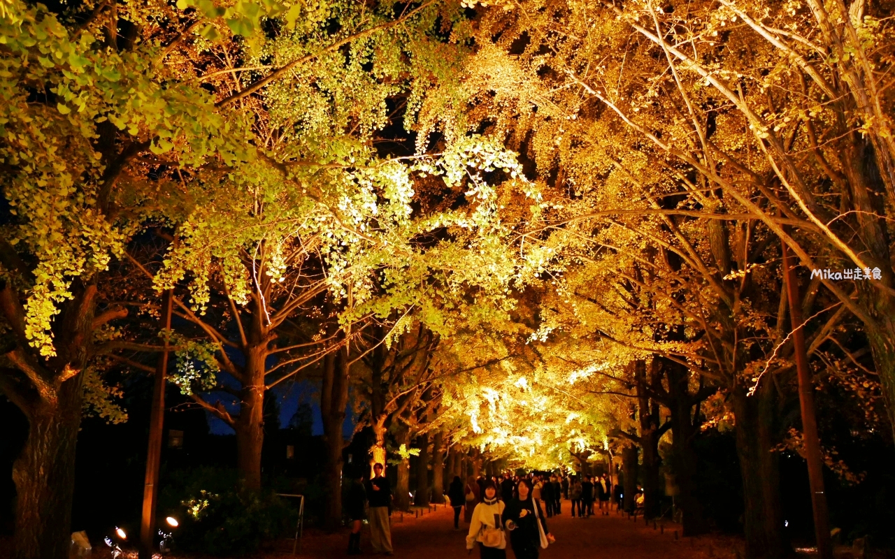 【東京】 國營昭和紀念公園｜東京賞楓景點推薦必去，期間限定 黃葉・紅葉祭＆秋夜散步，楓葉 銀杏 精彩燈光秀。