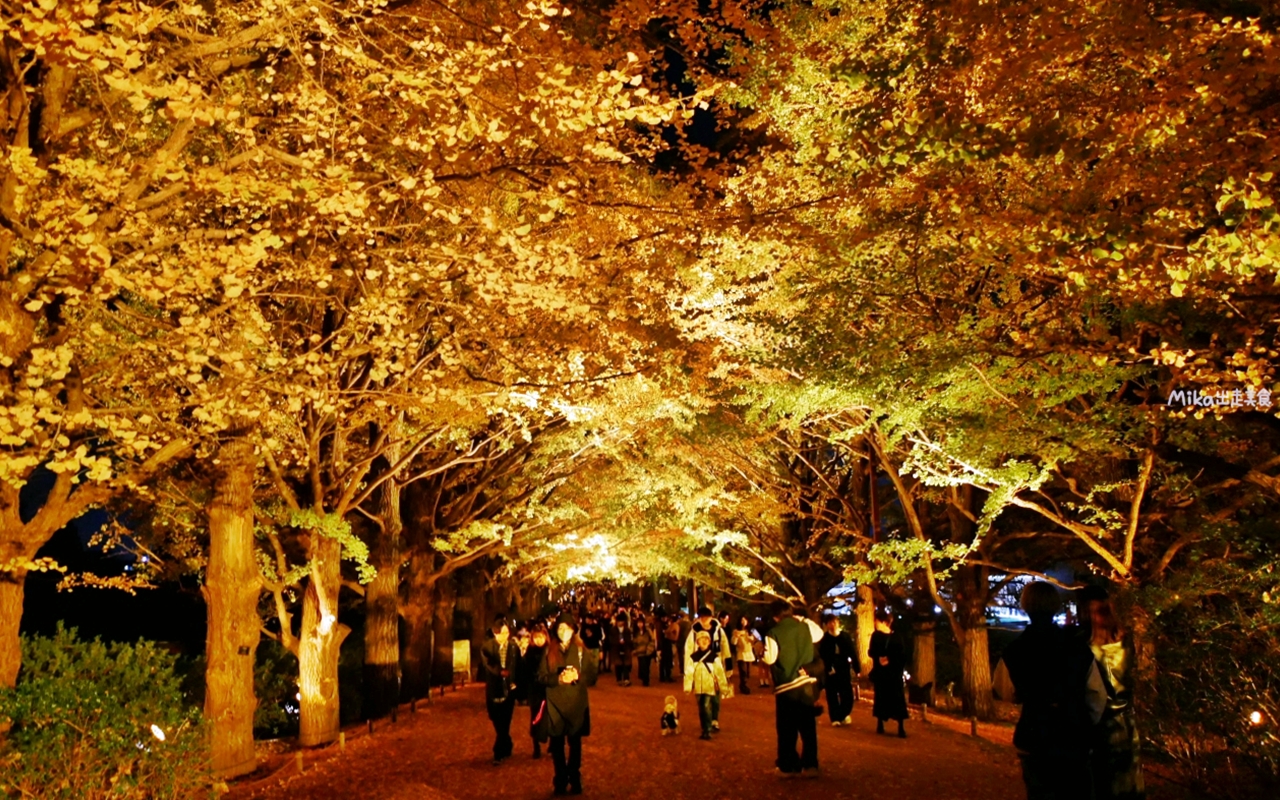 【東京】 國營昭和紀念公園｜東京賞楓景點推薦必去，期間限定 黃葉・紅葉祭＆秋夜散步，楓葉 銀杏 精彩燈光秀。