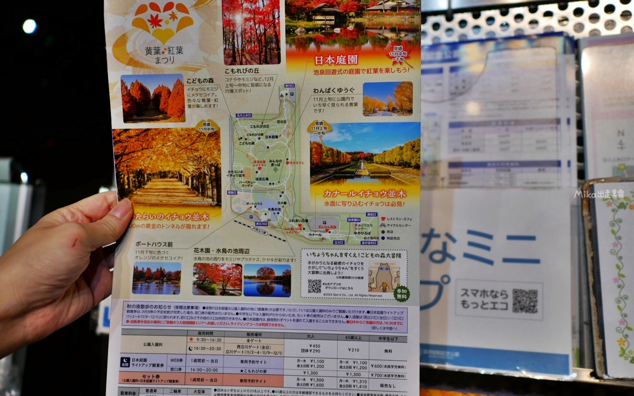 【東京】 國營昭和紀念公園｜東京賞楓景點推薦必去，期間限定 黃葉・紅葉祭＆秋夜散步，楓葉 銀杏 精彩燈光秀。
