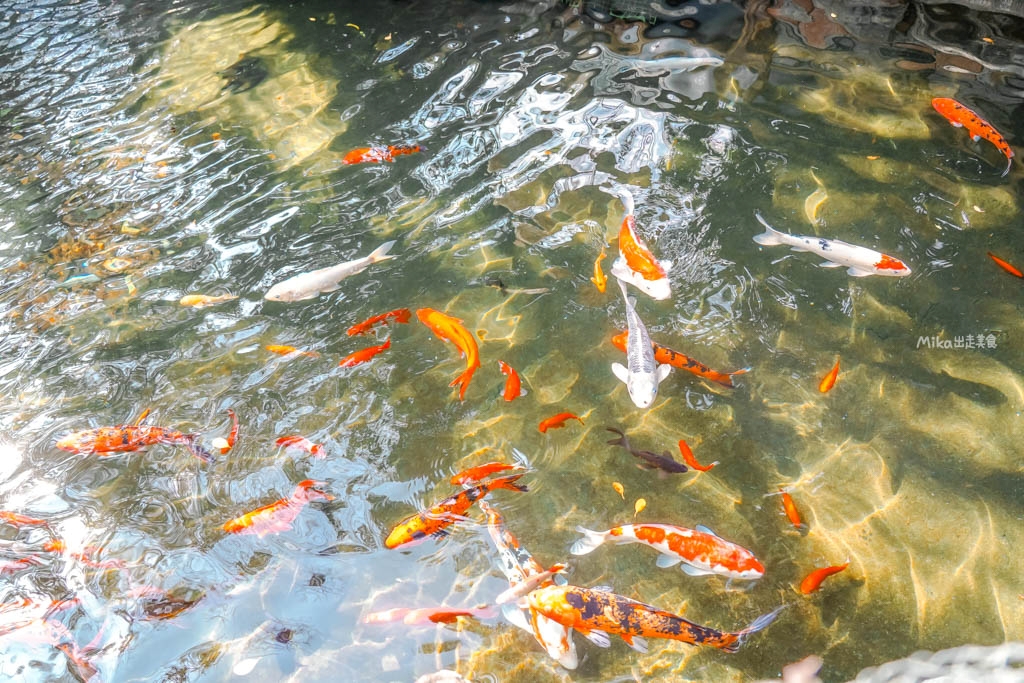【桃園】 觀音 大鼎庭園餐廳|平價大份量,附有免費停車場跟庭園造景,內用提供雞油拌飯吃到飽。 【桃園】 觀音 大鼎庭園餐廳|平價大份量,附有免費停車場跟庭園造景,內用提供雞油拌飯吃到飽。