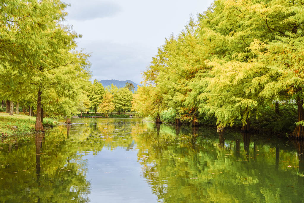 【花蓮】 理想PAARK水岸生活｜花蓮最新景點 公路旁全台最美星巴克、7-11在這裡！還有落羽松祕境遊湖、湖光水岸旁的音樂市集，湖光有景，水岸有聲。