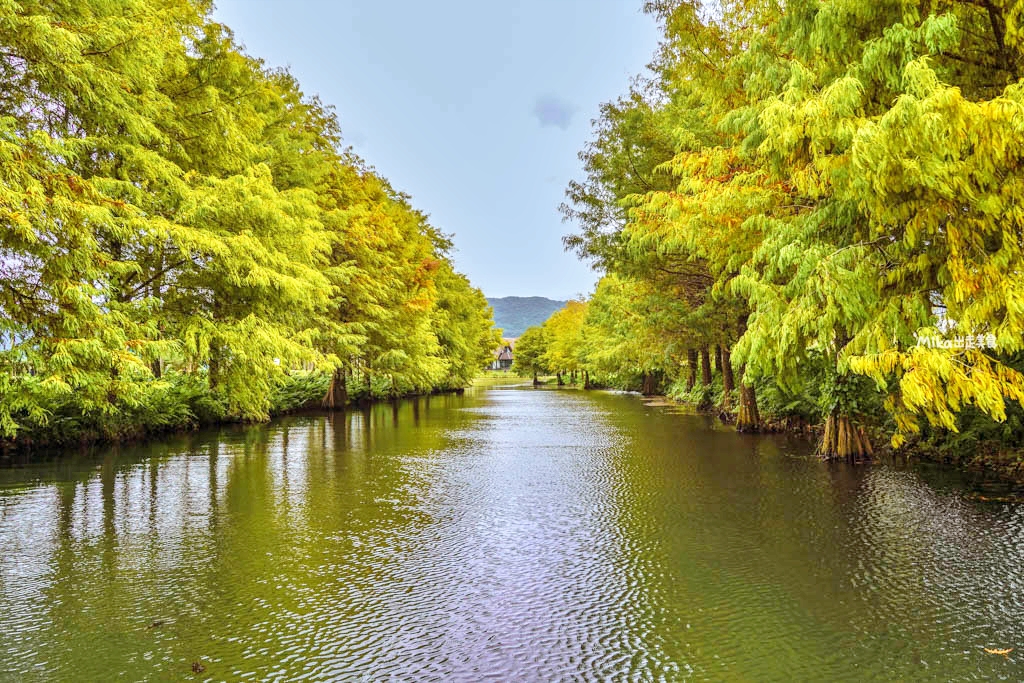 【花蓮】 理想PAARK水岸生活｜花蓮最新景點 公路旁全台最美星巴克、7-11在這裡！還有落羽松祕境遊湖、湖光水岸旁的音樂市集，湖光有景，水岸有聲。