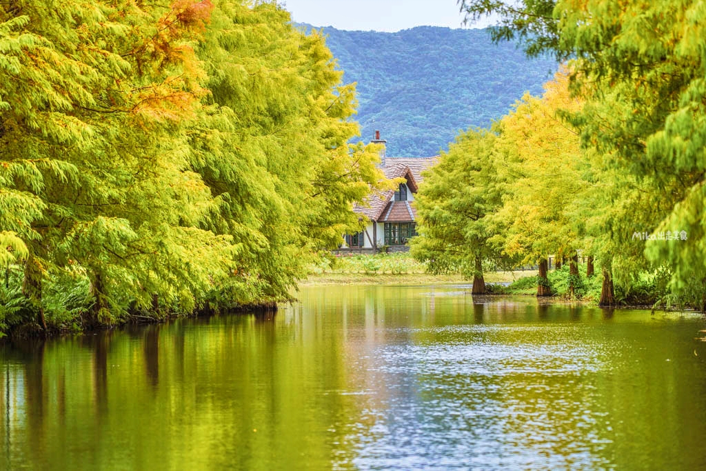 【花蓮】 理想PAARK水岸生活｜花蓮最新景點 公路旁全台最美星巴克、7-11在這裡！還有落羽松祕境遊湖、湖光水岸旁的音樂市集，湖光有景，水岸有聲。