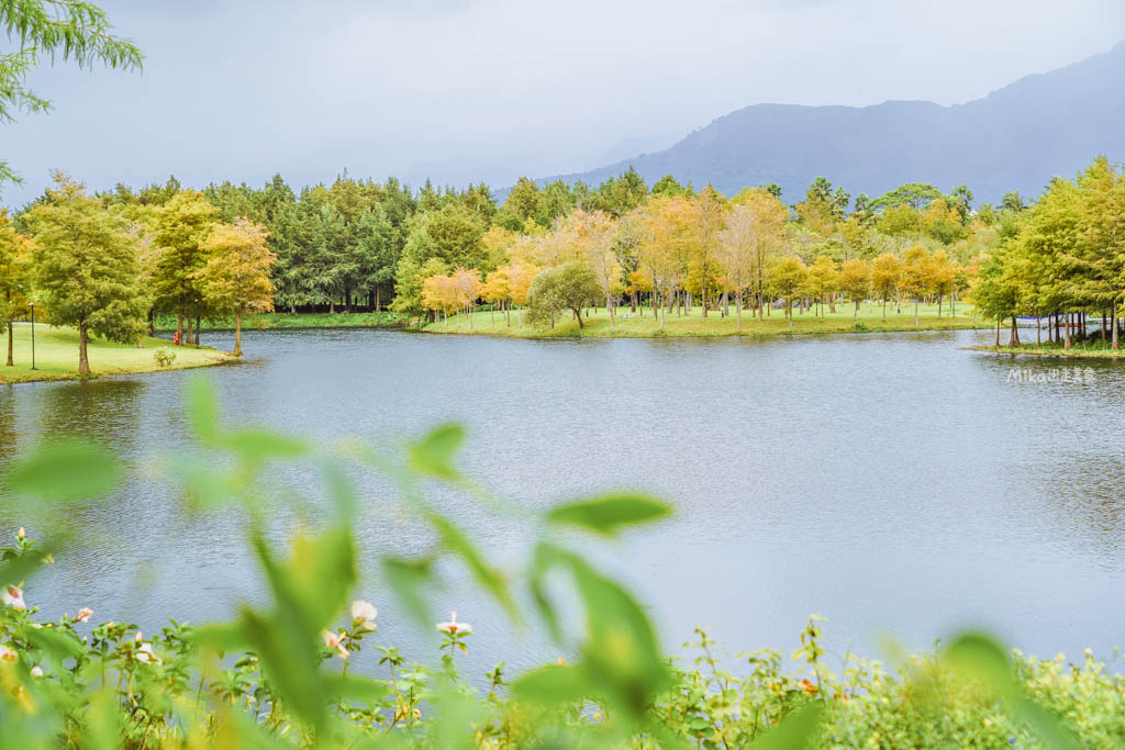 【花蓮】 理想PAARK水岸生活｜花蓮最新景點 公路旁全台最美星巴克、7-11在這裡！還有落羽松祕境遊湖、湖光水岸旁的音樂市集，湖光有景，水岸有聲。