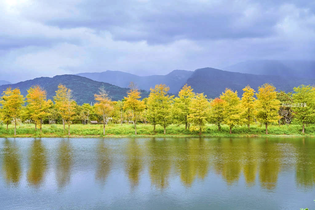 【花蓮】 理想PAARK水岸生活｜花蓮最新景點 公路旁全台最美星巴克、7-11在這裡！還有落羽松祕境遊湖、湖光水岸旁的音樂市集，湖光有景，水岸有聲。