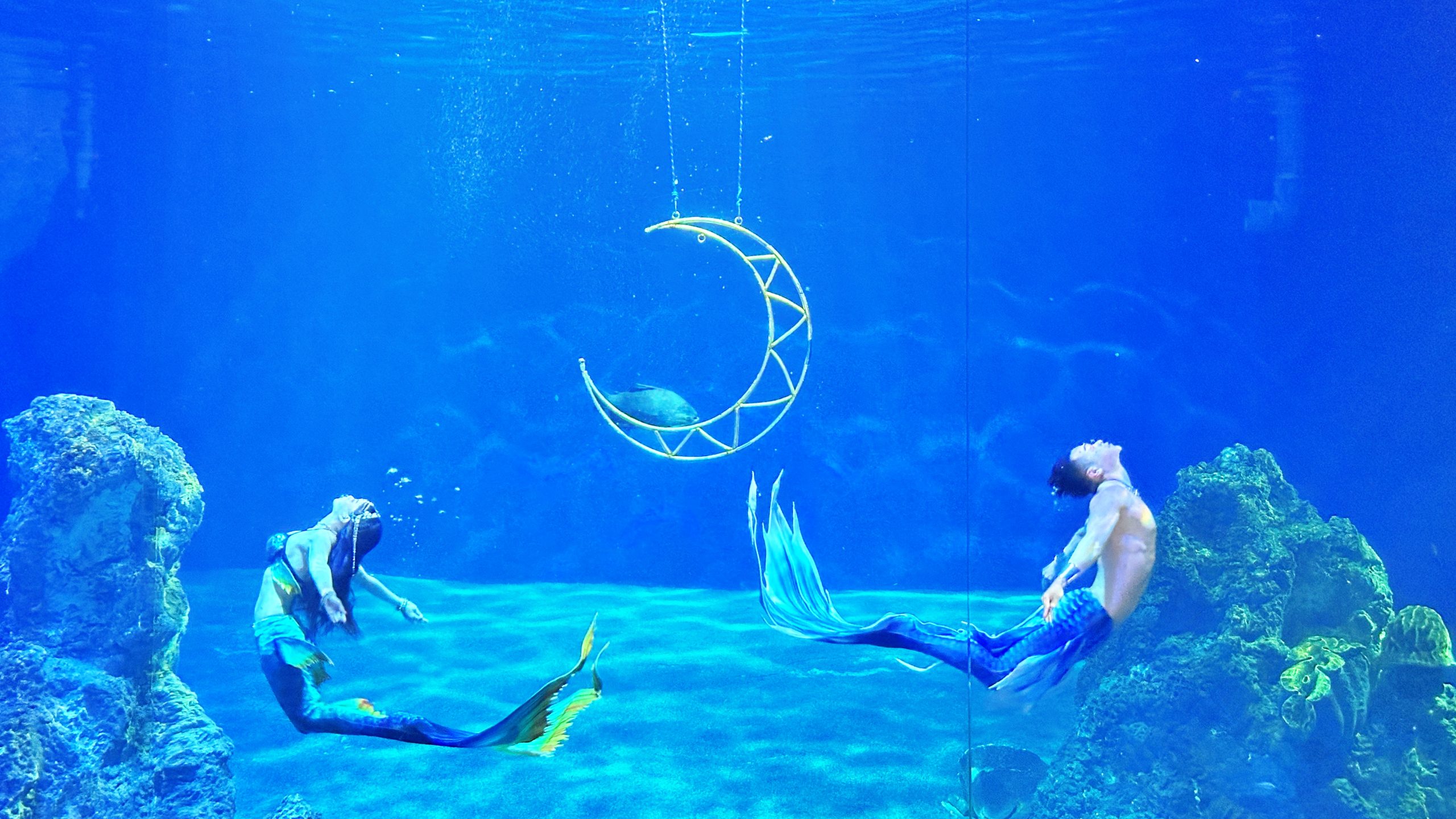【花蓮】 遠雄 海洋公園|東台灣最大 有山景+海景的水族主題遊樂園,還有全台唯一真人 美人魚實境秀! 【花蓮】 遠雄 海洋公園|東台灣最大 有山景+海景的水族主題遊樂園,還有全台唯一真人 美人魚實境秀!