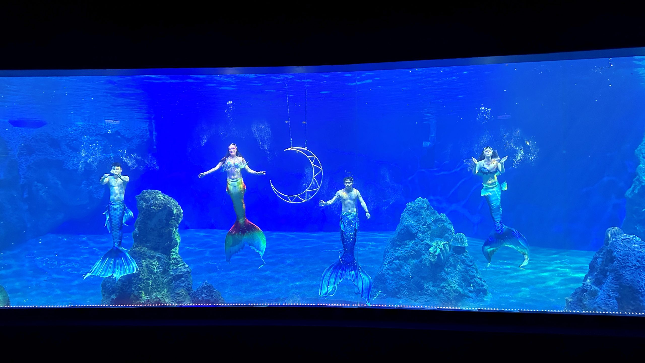 【花蓮】 遠雄 海洋公園|東台灣最大 有山景+海景的水族主題遊樂園,還有全台唯一真人 美人魚實境秀! 【花蓮】 遠雄 海洋公園|東台灣最大 有山景+海景的水族主題遊樂園,還有全台唯一真人 美人魚實境秀!