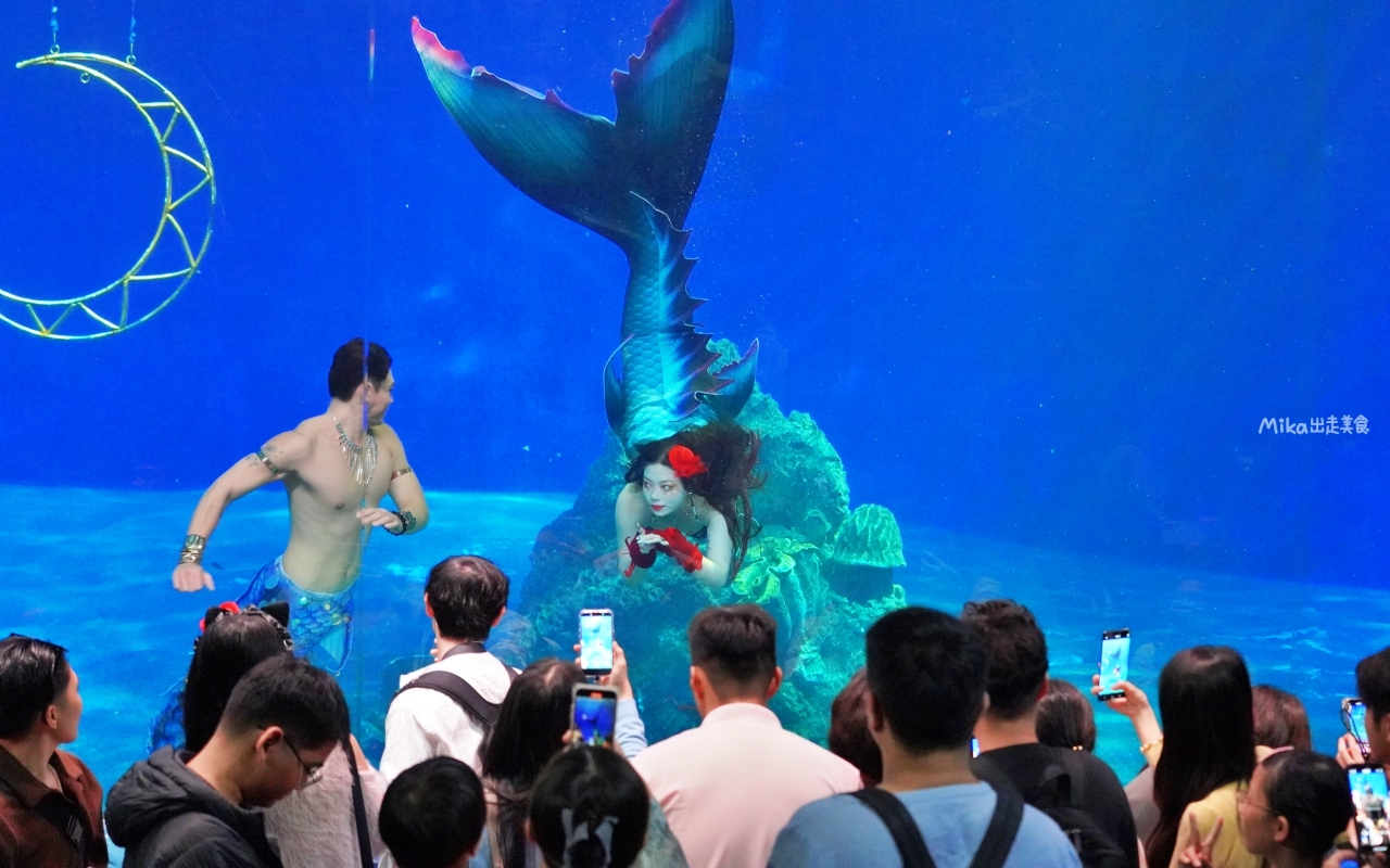 【花蓮】 遠雄 海洋公園|東台灣最大 有山景+海景的水族主題遊樂園,還有全台唯一真人 美人魚實境秀! 【花蓮】 遠雄 海洋公園|東台灣最大 有山景+海景的水族主題遊樂園,還有全台唯一真人 美人魚實境秀!
