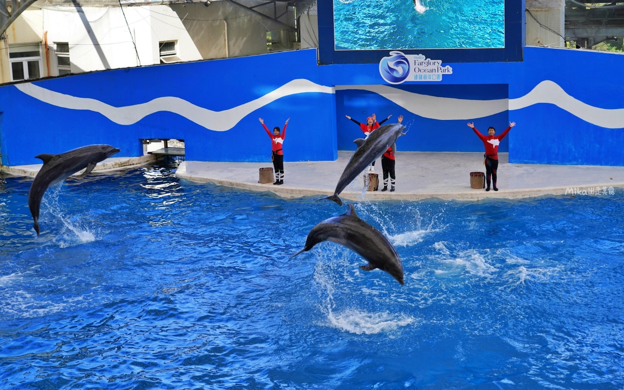 【花蓮】 遠雄 海洋公園|東台灣最大 有山景+海景的水族主題遊樂園,還有全台唯一真人 美人魚實境秀! 【花蓮】 遠雄 海洋公園|東台灣最大 有山景+海景的水族主題遊樂園,還有全台唯一真人 美人魚實境秀!
