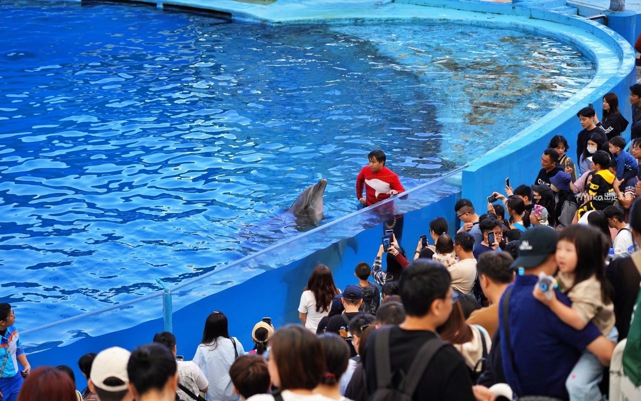 【花蓮】 遠雄 海洋公園|東台灣最大 有山景+海景的水族主題遊樂園,還有全台唯一真人 美人魚實境秀! 【花蓮】 遠雄 海洋公園|東台灣最大 有山景+海景的水族主題遊樂園,還有全台唯一真人 美人魚實境秀!