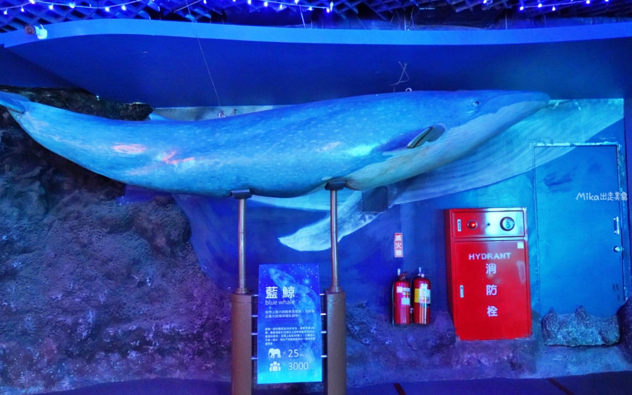 【花蓮】 遠雄 海洋公園|東台灣最大 有山景+海景的水族主題遊樂園,還有全台唯一真人 美人魚實境秀! 【花蓮】 遠雄 海洋公園|東台灣最大 有山景+海景的水族主題遊樂園,還有全台唯一真人 美人魚實境秀!