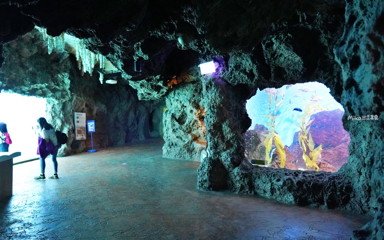 【花蓮】 遠雄 海洋公園|東台灣最大 有山景+海景的水族主題遊樂園,還有全台唯一真人 美人魚實境秀! 【花蓮】 遠雄 海洋公園|東台灣最大 有山景+海景的水族主題遊樂園,還有全台唯一真人 美人魚實境秀!