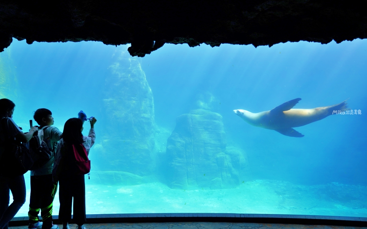 【花蓮】 遠雄 海洋公園|東台灣最大 有山景+海景的水族主題遊樂園,還有全台唯一真人 美人魚實境秀! 【花蓮】 遠雄 海洋公園|東台灣最大 有山景+海景的水族主題遊樂園,還有全台唯一真人 美人魚實境秀!