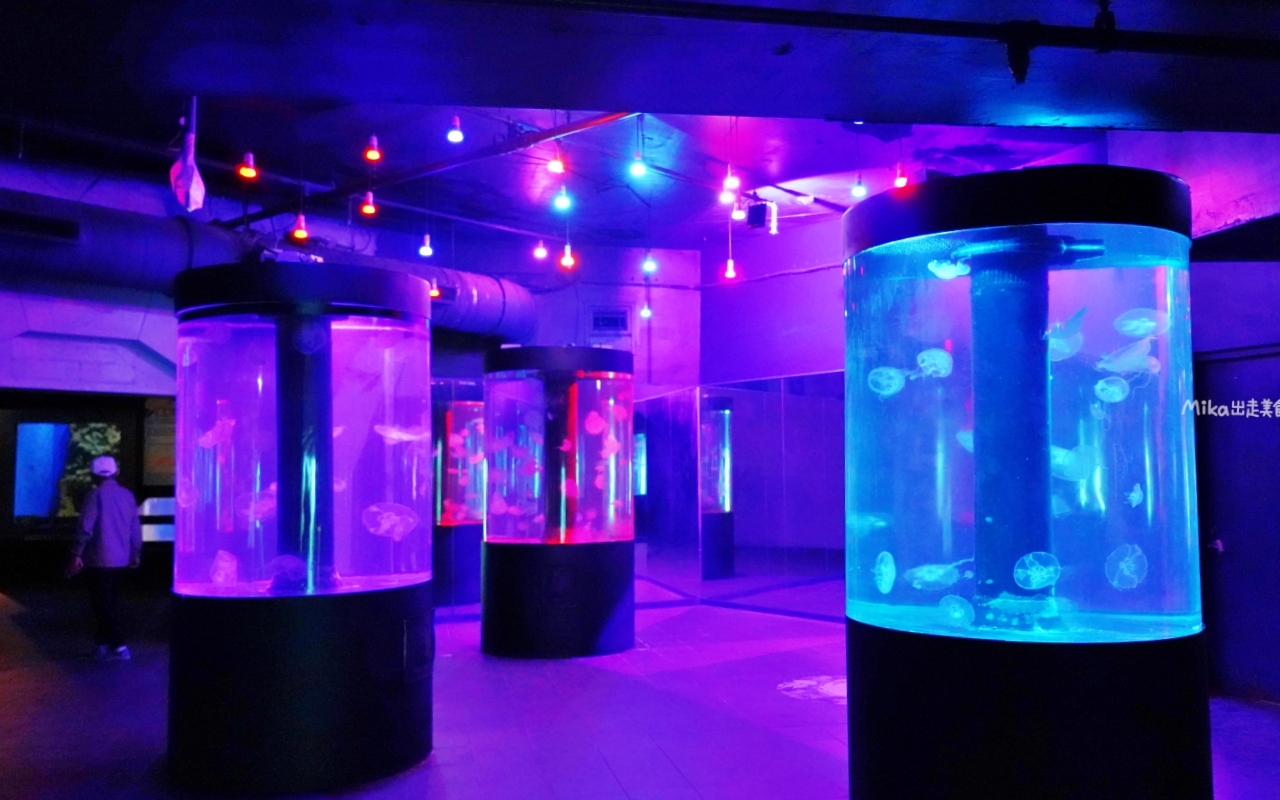 【花蓮】 遠雄 海洋公園|東台灣最大 有山景+海景的水族主題遊樂園,還有全台唯一真人 美人魚實境秀! 【花蓮】 遠雄 海洋公園|東台灣最大 有山景+海景的水族主題遊樂園,還有全台唯一真人 美人魚實境秀!