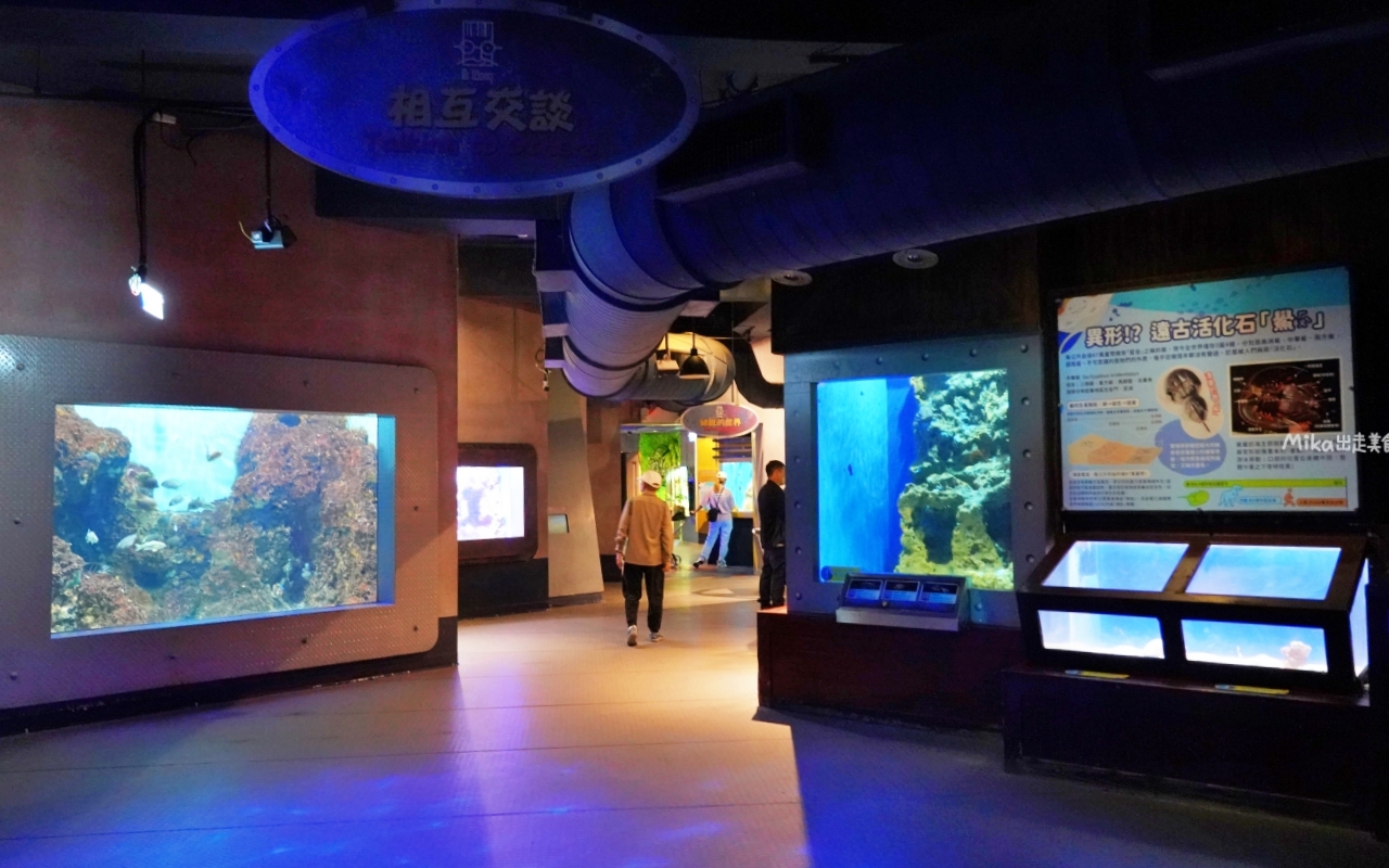 【花蓮】 遠雄 海洋公園|東台灣最大 有山景+海景的水族主題遊樂園,還有全台唯一真人 美人魚實境秀! 【花蓮】 遠雄 海洋公園|東台灣最大 有山景+海景的水族主題遊樂園,還有全台唯一真人 美人魚實境秀!