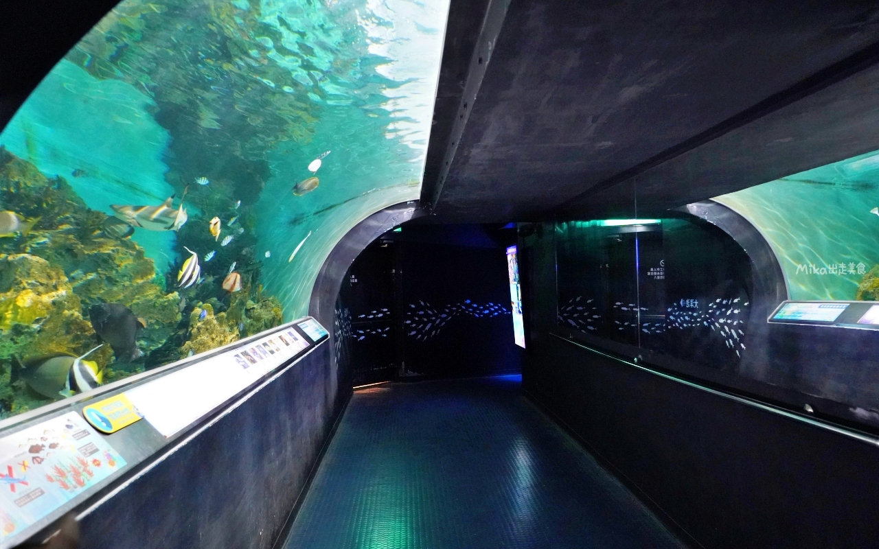 【花蓮】 遠雄 海洋公園|東台灣最大 有山景+海景的水族主題遊樂園,還有全台唯一真人 美人魚實境秀! 【花蓮】 遠雄 海洋公園|東台灣最大 有山景+海景的水族主題遊樂園,還有全台唯一真人 美人魚實境秀!
