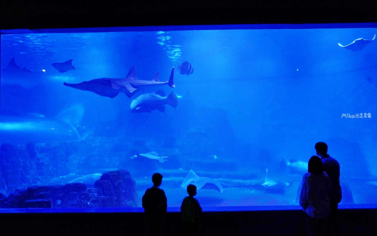 【花蓮】 遠雄 海洋公園|東台灣最大 有山景+海景的水族主題遊樂園,還有全台唯一真人 美人魚實境秀! 【花蓮】 遠雄 海洋公園|東台灣最大 有山景+海景的水族主題遊樂園,還有全台唯一真人 美人魚實境秀!