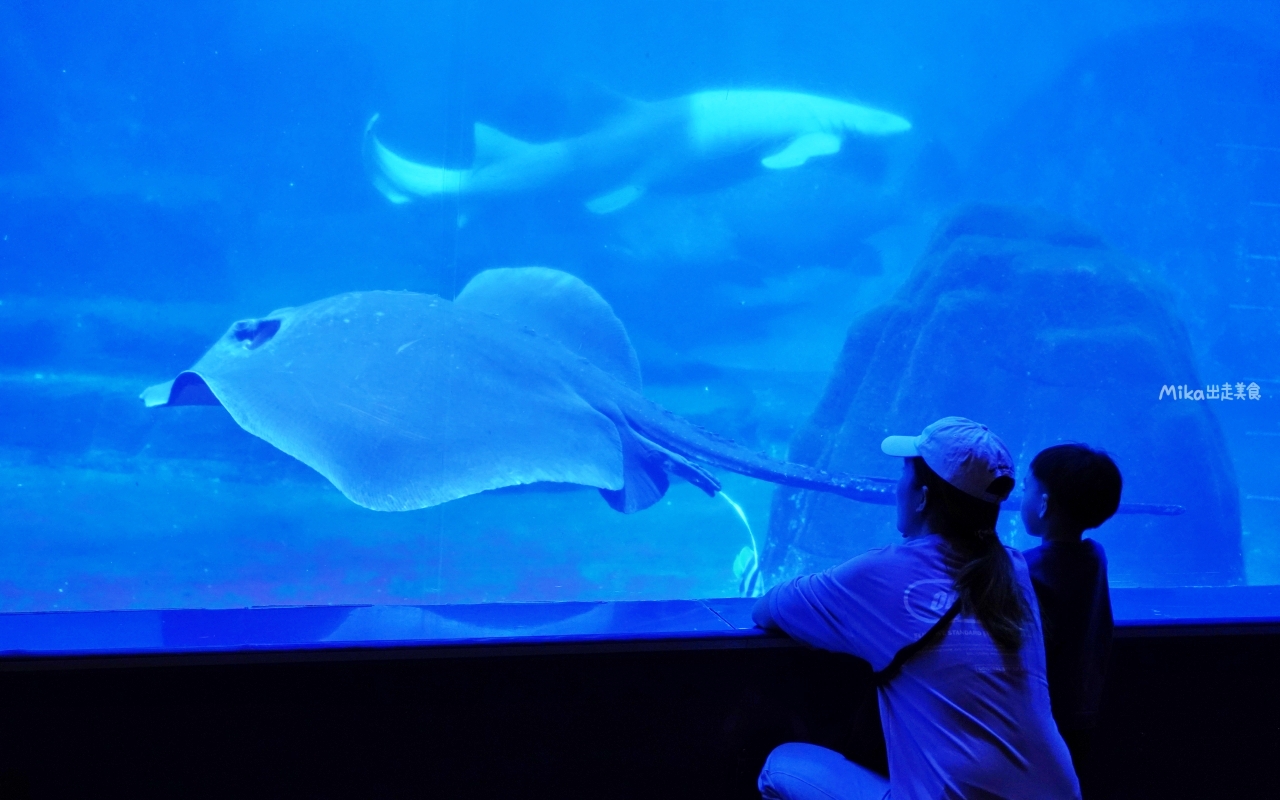 【花蓮】 遠雄 海洋公園|東台灣最大 有山景+海景的水族主題遊樂園,還有全台唯一真人 美人魚實境秀! 【花蓮】 遠雄 海洋公園|東台灣最大 有山景+海景的水族主題遊樂園,還有全台唯一真人 美人魚實境秀!