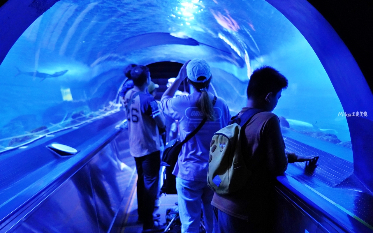 【花蓮】 遠雄 海洋公園|東台灣最大 有山景+海景的水族主題遊樂園,還有全台唯一真人 美人魚實境秀! 【花蓮】 遠雄 海洋公園|東台灣最大 有山景+海景的水族主題遊樂園,還有全台唯一真人 美人魚實境秀!