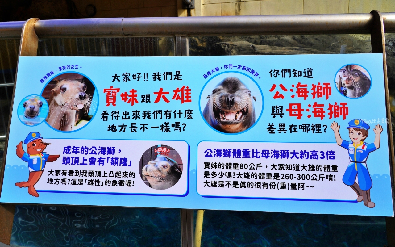 【花蓮】 遠雄 海洋公園|東台灣最大 有山景+海景的水族主題遊樂園,還有全台唯一真人 美人魚實境秀! 【花蓮】 遠雄 海洋公園|東台灣最大 有山景+海景的水族主題遊樂園,還有全台唯一真人 美人魚實境秀!