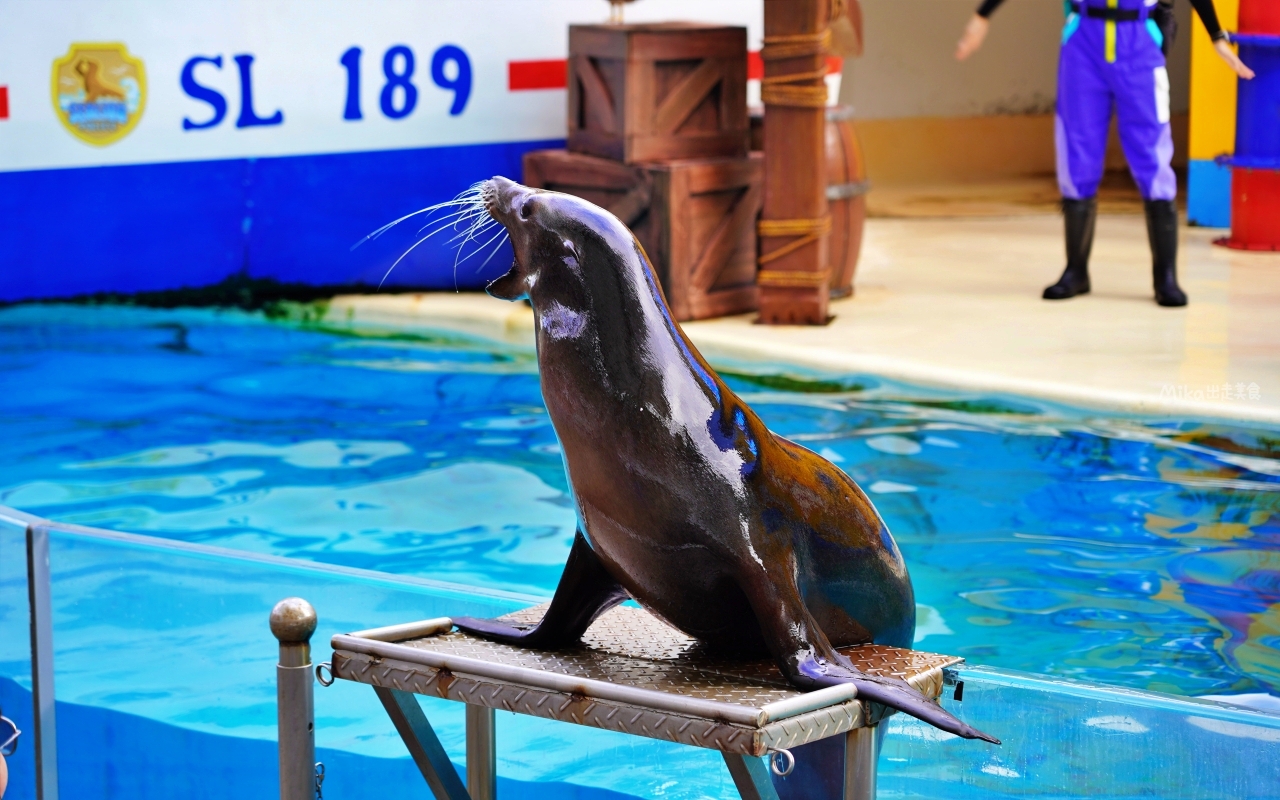 【花蓮】 遠雄 海洋公園|東台灣最大 有山景+海景的水族主題遊樂園,還有全台唯一真人 美人魚實境秀! 【花蓮】 遠雄 海洋公園|東台灣最大 有山景+海景的水族主題遊樂園,還有全台唯一真人 美人魚實境秀!