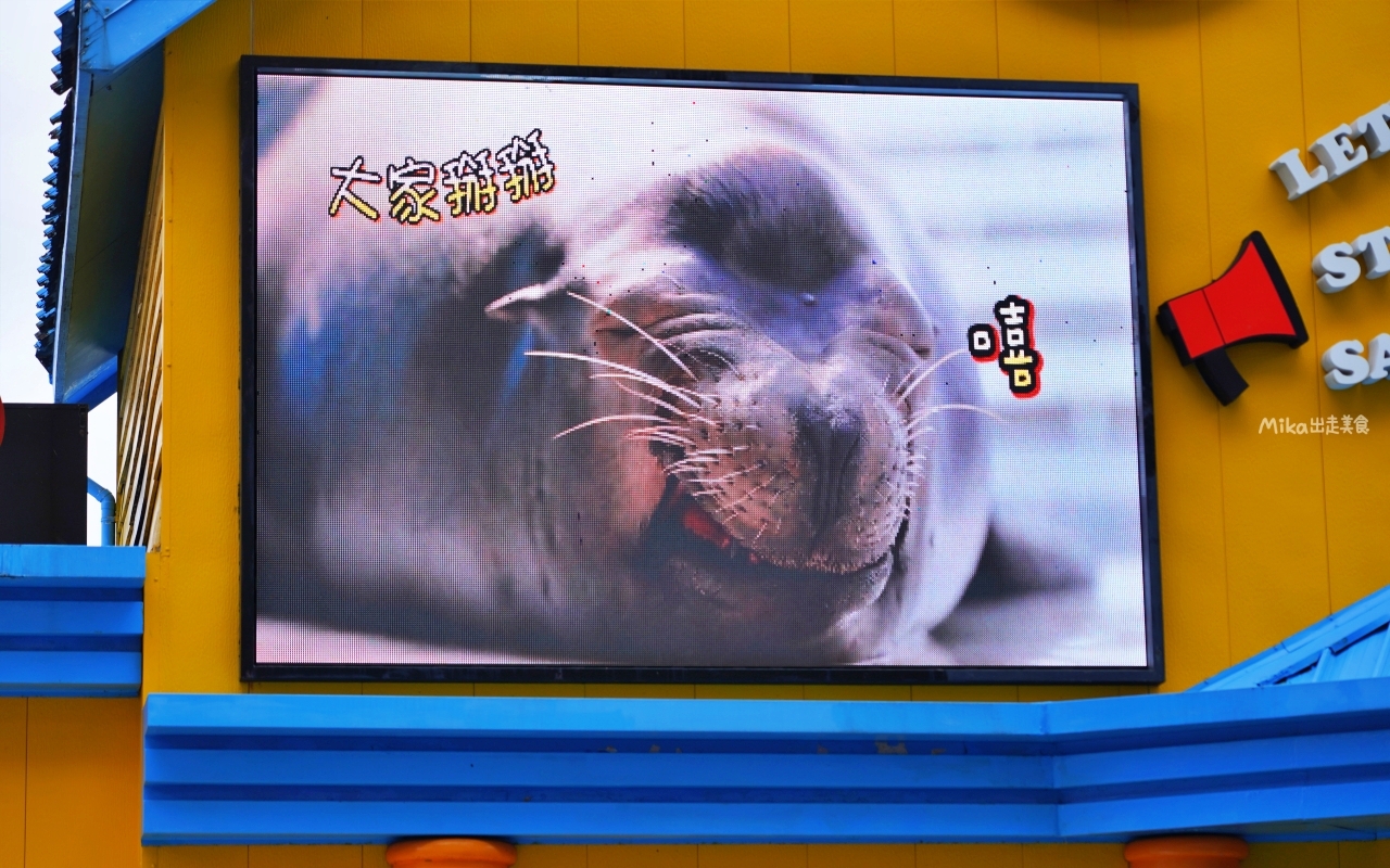 【花蓮】 遠雄 海洋公園|東台灣最大 有山景+海景的水族主題遊樂園,還有全台唯一真人 美人魚實境秀! 【花蓮】 遠雄 海洋公園|東台灣最大 有山景+海景的水族主題遊樂園,還有全台唯一真人 美人魚實境秀!