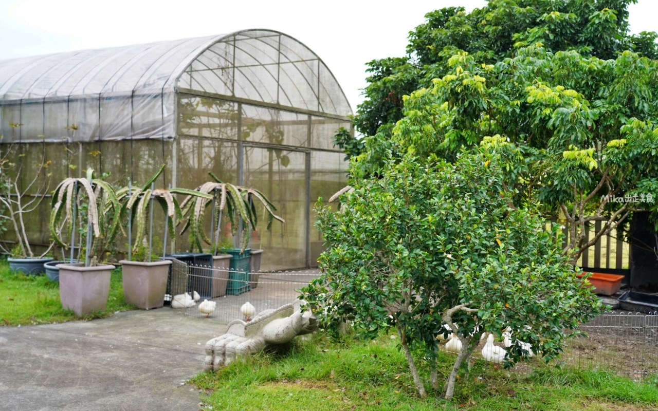 【宜蘭】員山 鄉村風味｜鄉間田園裡的窯烤披薩，脆皮香酥窯烤德國豬腳也很推薦。