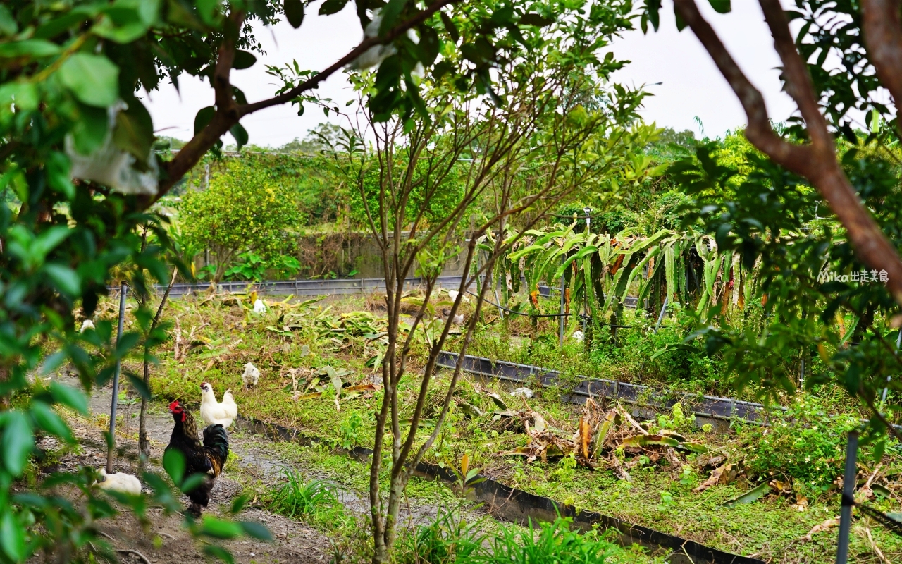 【宜蘭】員山 鄉村風味｜鄉間田園裡的窯烤披薩，脆皮香酥窯烤德國豬腳也很推薦。