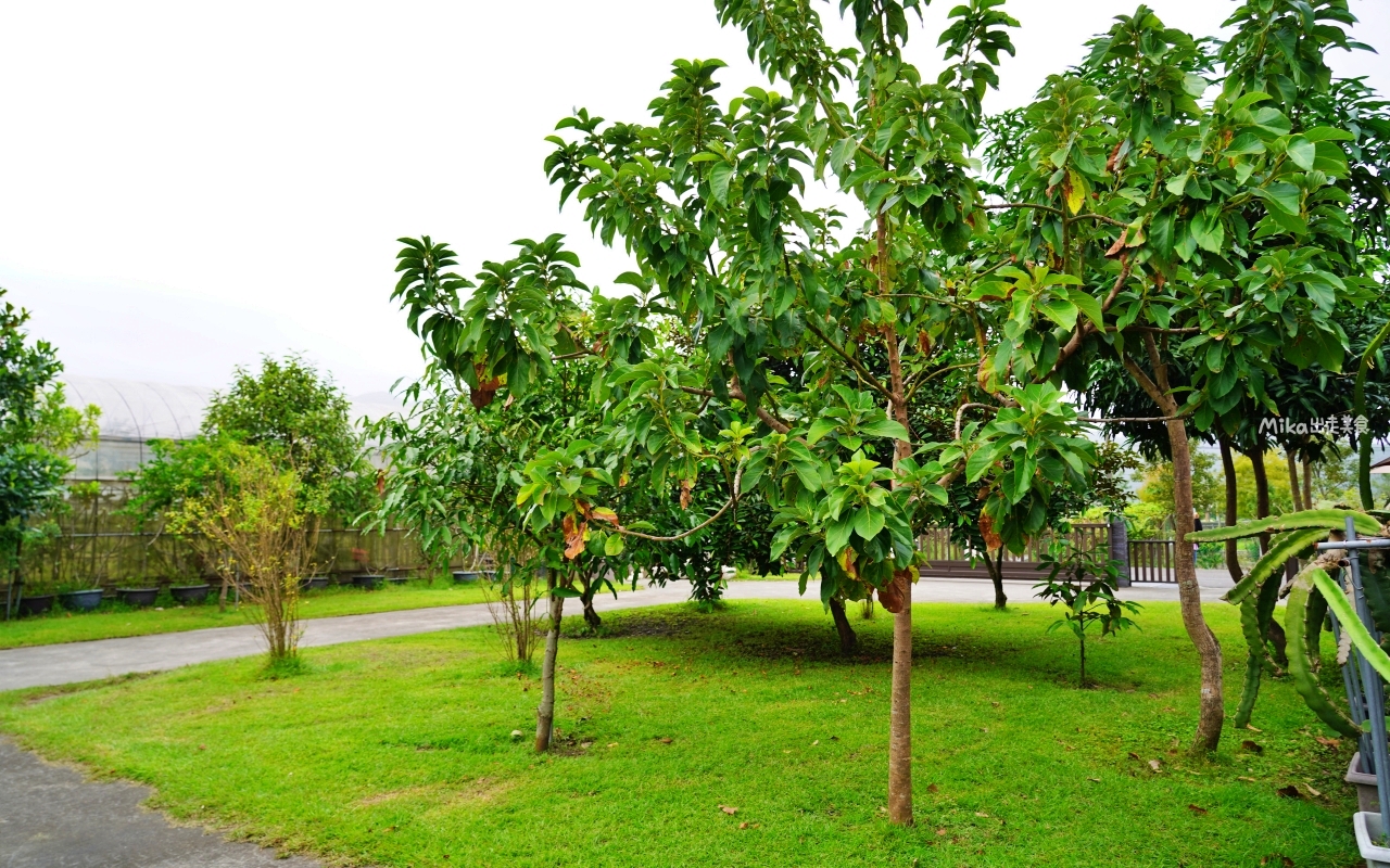 【宜蘭】員山 鄉村風味｜鄉間田園裡的窯烤披薩，脆皮香酥窯烤德國豬腳也很推薦。