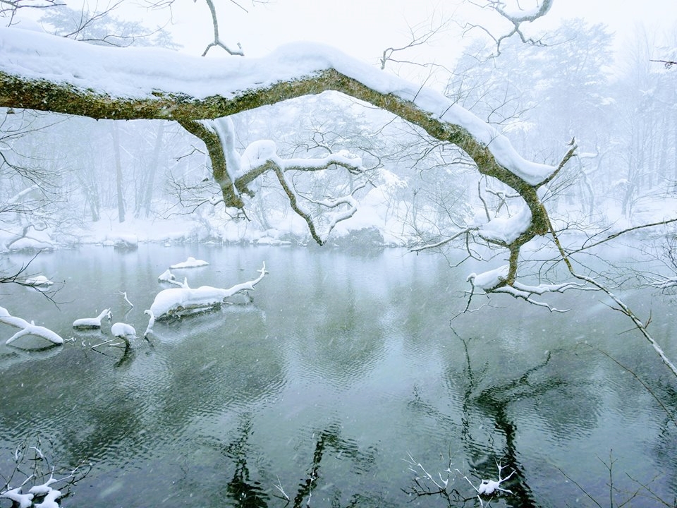 【日本】福島 裏磐梯湖畔渡假村 (Lake resort hotel) 五色の森｜必泡貓魔溫泉 露天雪中溫泉黃金之湯/五色沼夢幻雪景，雪中散策吃雪冰